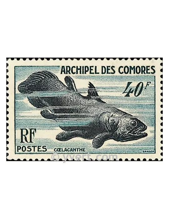 n° 13 - Timbre Comores Poste