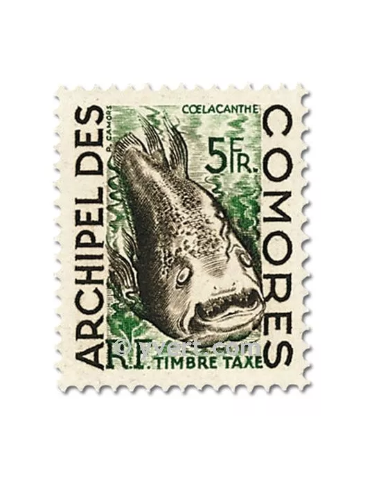 n° 3/5 - Timbre Comores Taxe