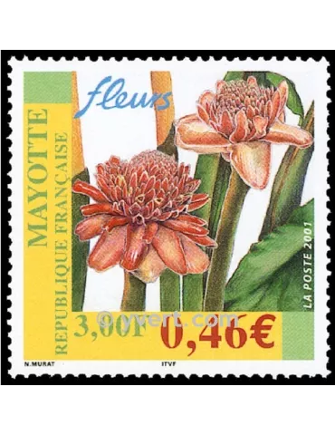 n° 107 - Timbre Mayotte Poste