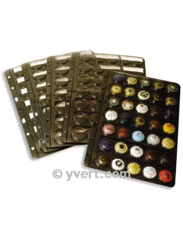 Recharge ARTLINE : 30 capsules 2