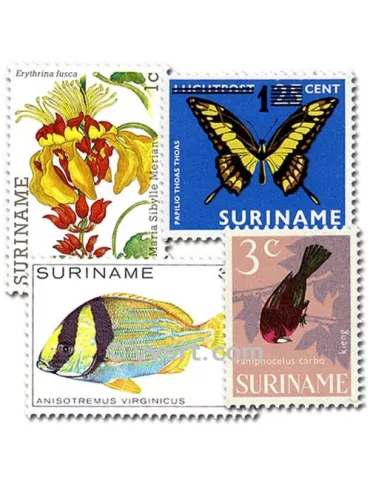 SURINAM : pochette de 50 timbres (Oblitérés)