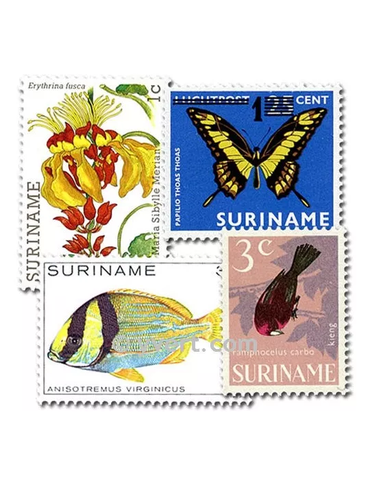 SURINAM : pochette de 50 timbres (Oblitérés)