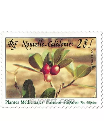 n° 556 - Timbre Nelle-Calédonie Poste 2