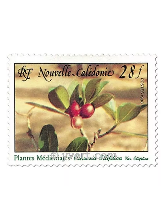 n° 556 - Timbre Nelle-Calédonie Poste