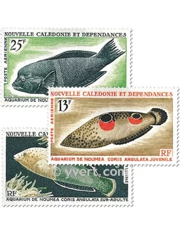 n° 81/83 - Timbre Nelle-Calédonie Poste aérienne 2