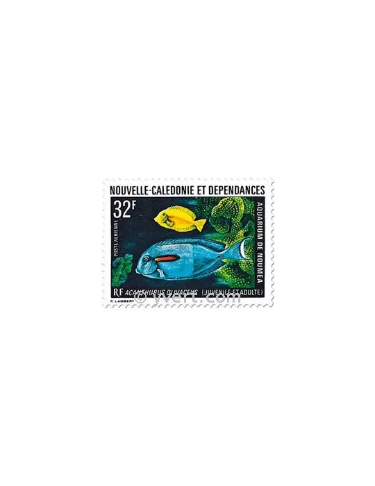n° 145 - Timbre Nelle-Calédonie Poste aérienne