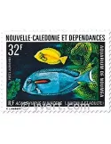 n° 145 - Timbre Nelle-Calédonie Poste aérienne