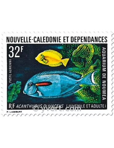 n° 145 - Timbre Nelle-Calédonie Poste aérienne 2