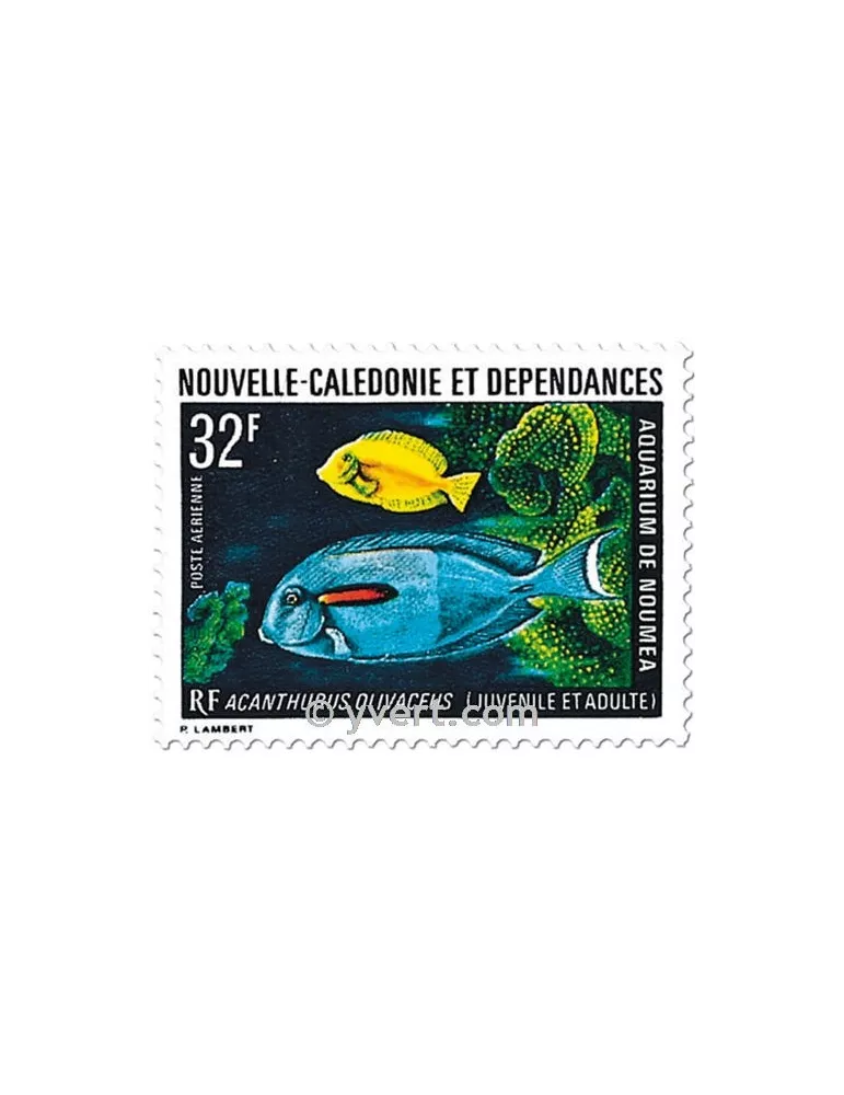 n° 145 - Timbre Nelle-Calédonie Poste aérienne