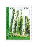 n° 238/239 - Timbre Nelle-Calédonie Poste aérienne