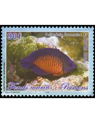 n° 31 - Timbre Polynésie Bloc et feuillets 2