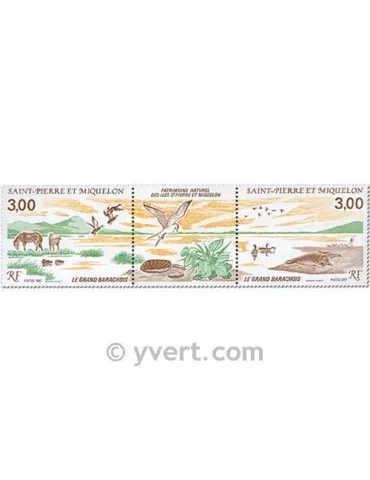 n° 485A - Timbre Saint-Pierre et Miquelon Poste 2