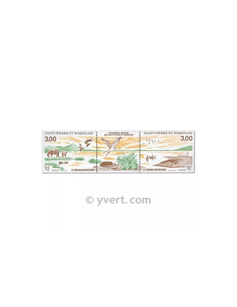 n° 485A - Timbre Saint-Pierre et Miquelon Poste