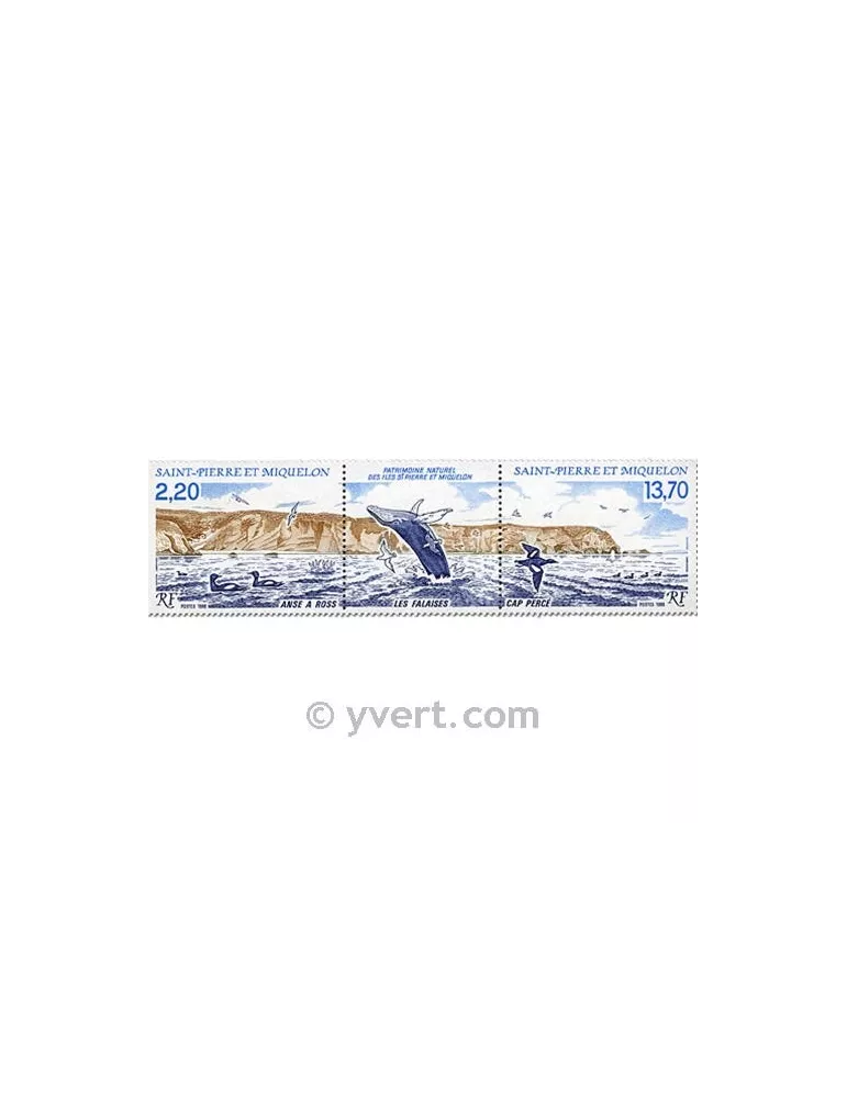 n° 495A - Timbre Saint-Pierre et Miquelon Poste