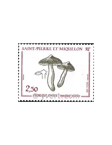 n° 497 - Timbre Saint-Pierre et Miquelon Poste