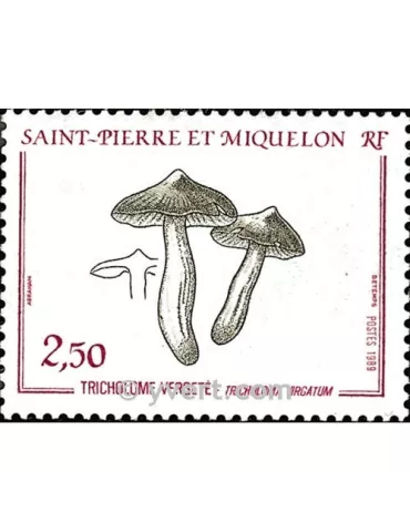 n° 497 - Timbre Saint-Pierre et Miquelon Poste 2