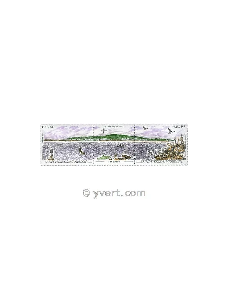 n° 549A - Timbre Saint-Pierre et Miquelon Poste