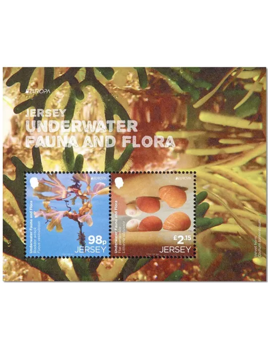 n° F2813 - Timbre JERSEY Poste