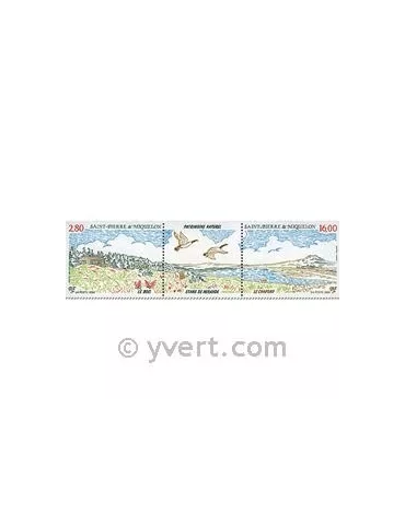 n° 604A - Timbre Saint-Pierre et Miquelon Poste