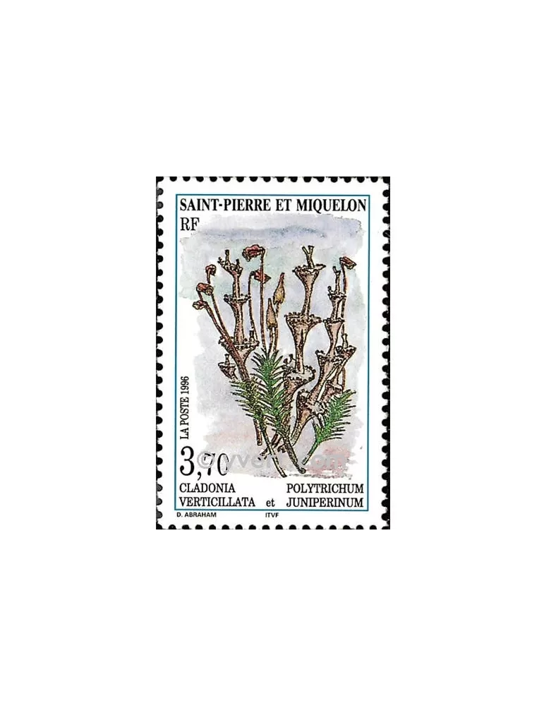 n° 626 - Timbre Saint-Pierre et Miquelon Poste