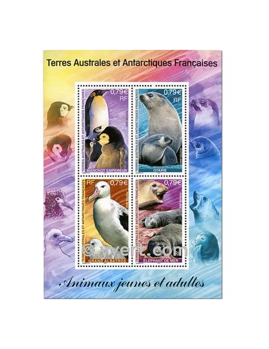 n° 8 - Timbre TAAF Bloc et feuillets