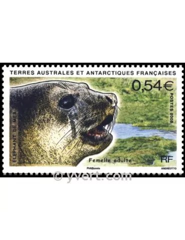 n° 19 - Timbre TAAF Bloc et feuillets