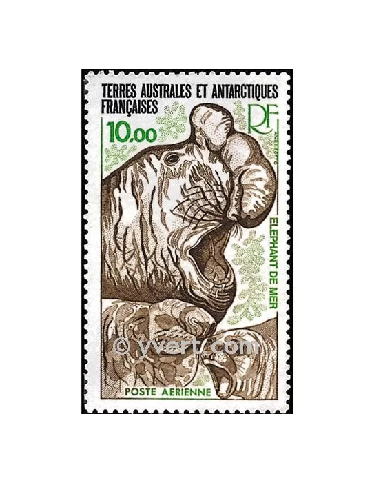 n° 55 - Timbre TAAF Poste aérienne