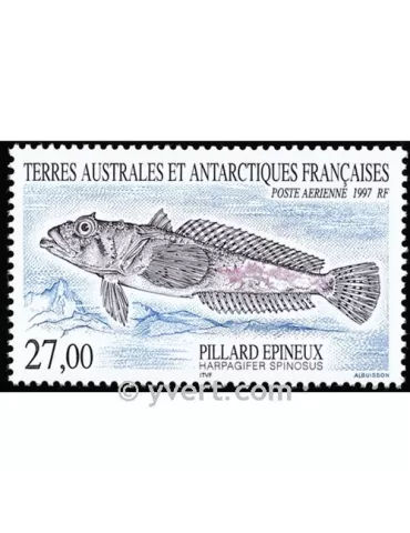 n° 145 - Timbre TAAF Poste aérienne