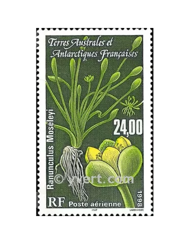 n° 146 - Timbre TAAF Poste aérienne