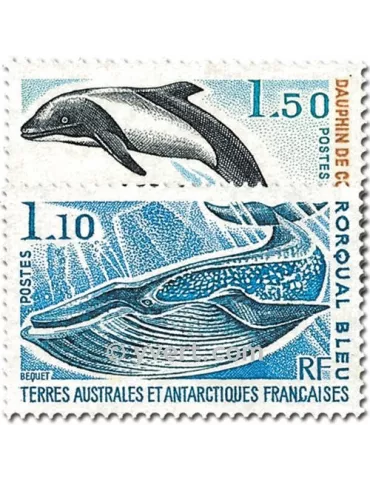 n° 64/65 - Timbre TAAF Poste 2