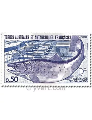 n° 71/72 - Timbre TAAF Poste 2