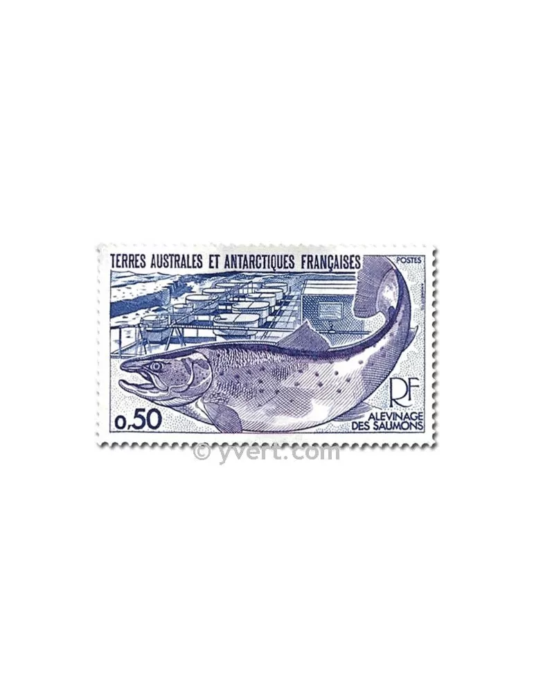 n° 71/72 - Timbre TAAF Poste