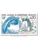 n° 105/106 - Timbre TAAF Poste