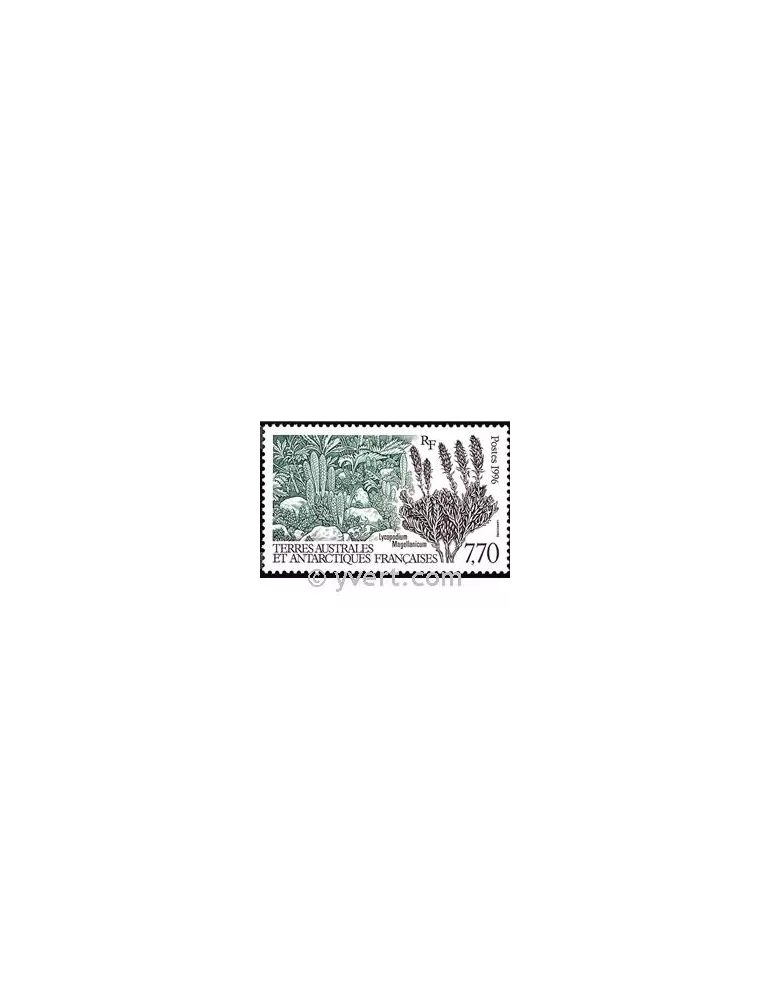 n° 209 - Timbre TAAF Poste