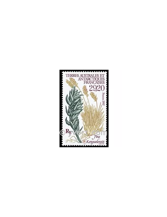 n° 220 - Timbre TAAF Poste