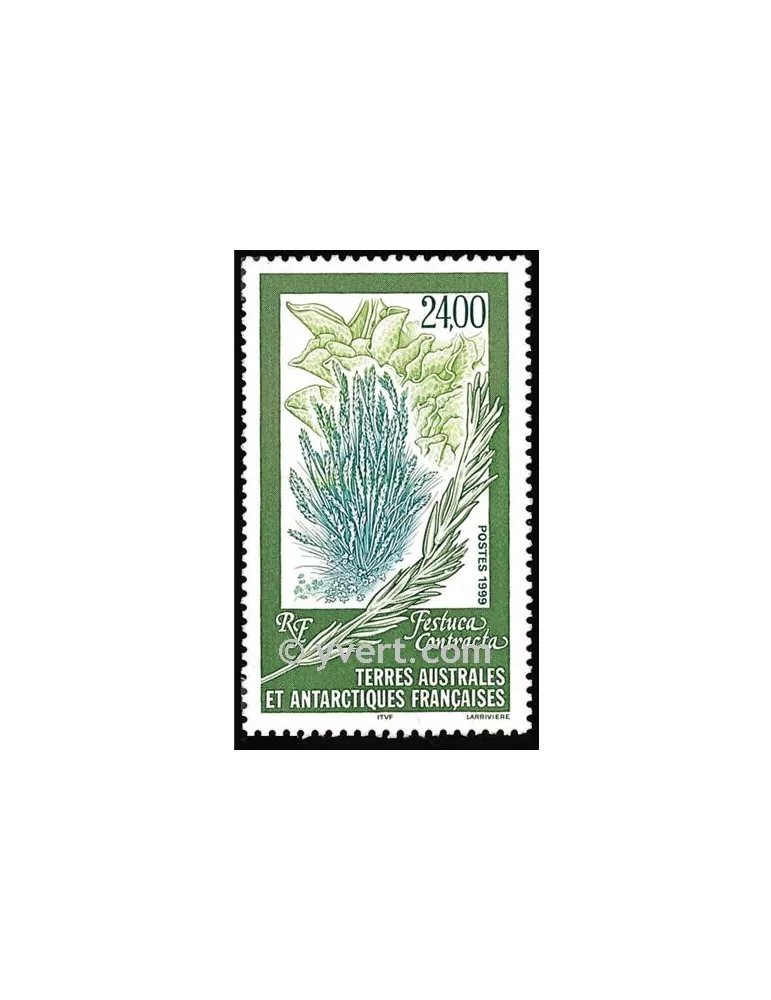 n° 244 - Timbre TAAF Poste