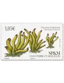 n° 1323 - Timbre Saint-Pierre et Miquelon Poste