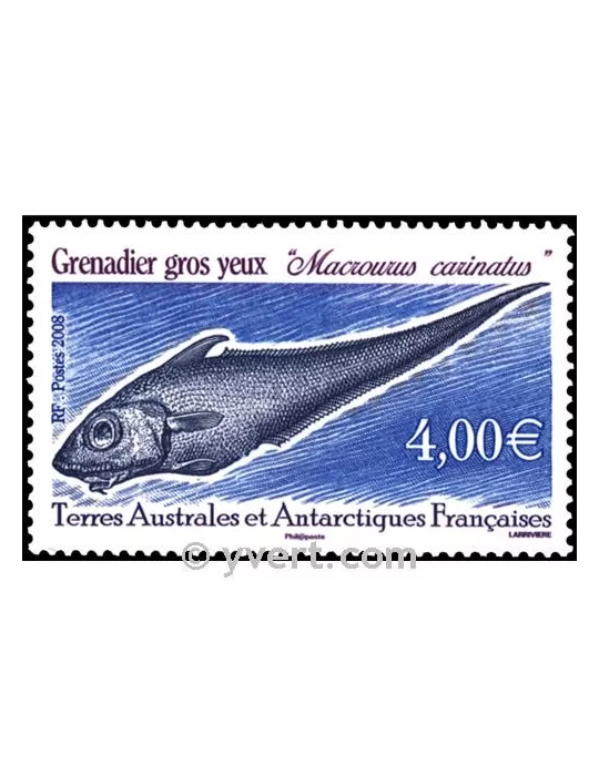 n° 505 - Timbre TAAF Poste