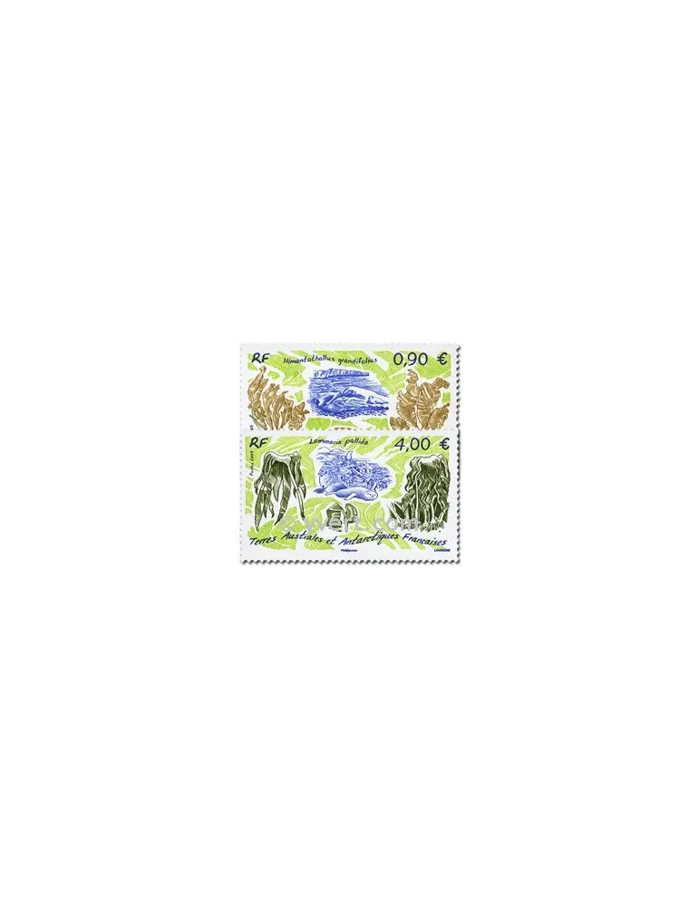 n° 528/529 - Timbre TAAF Poste