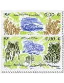n° 528/529 - Timbre TAAF Poste