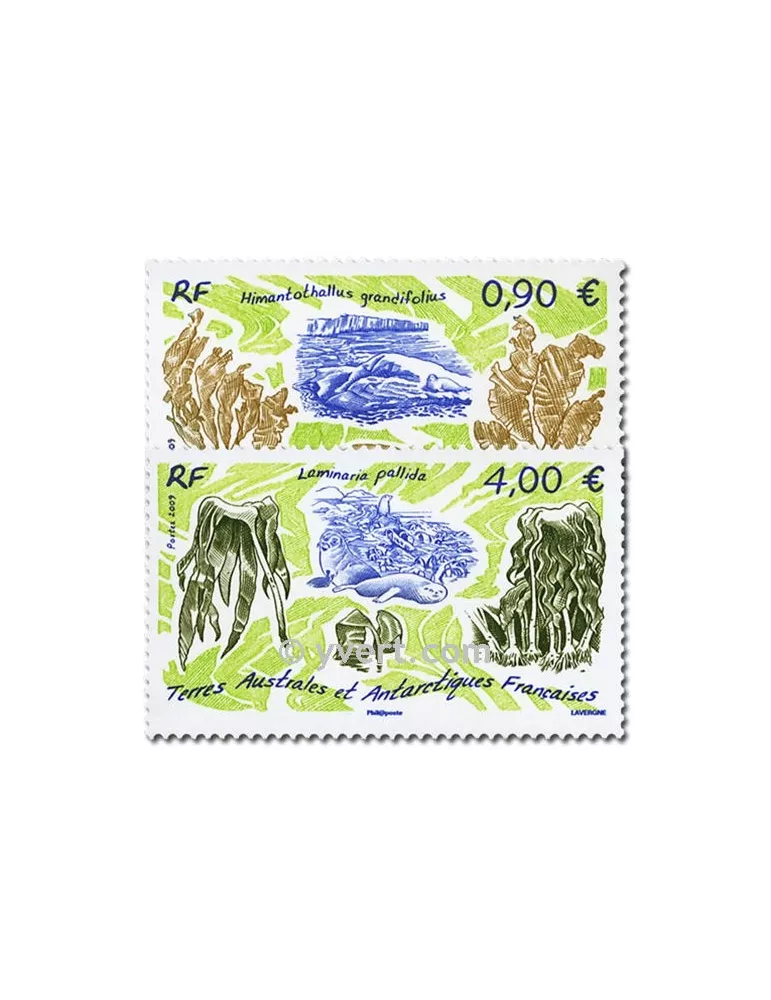 n° 528/529 - Timbre TAAF Poste