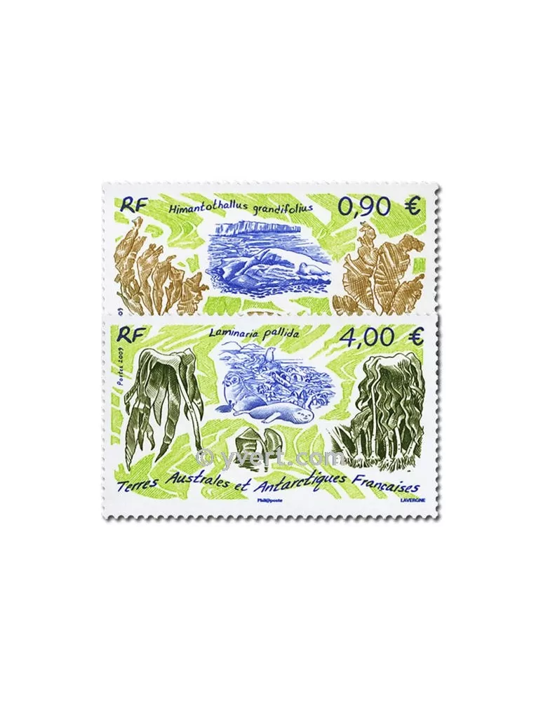 n° 528/529 - Timbre TAAF Poste