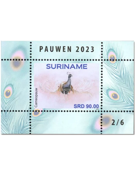n° 196/201 - Timbre SURINAM Blocs et feuillets