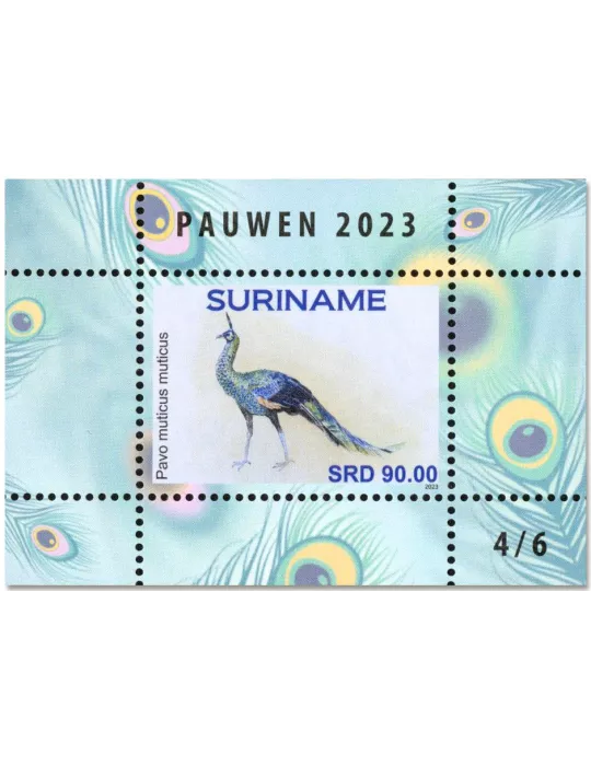 n° 196/201 - Timbre SURINAM Blocs et feuillets