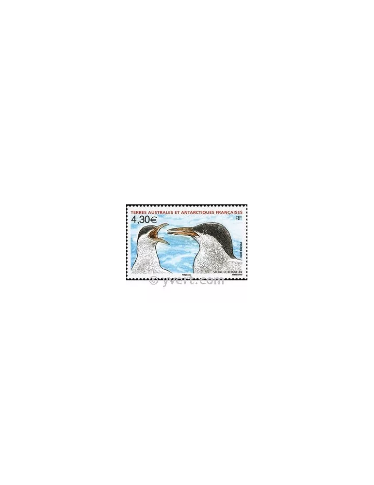 n° 553 - Timbre TAAF Poste