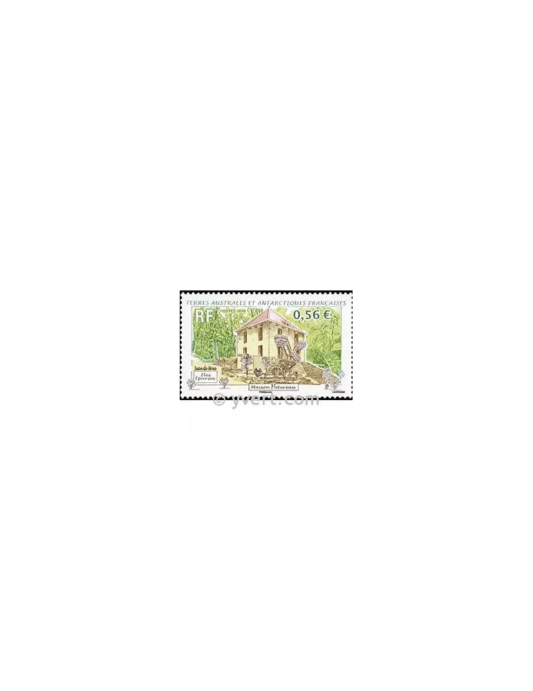 n° 555 - Timbre TAAF Poste