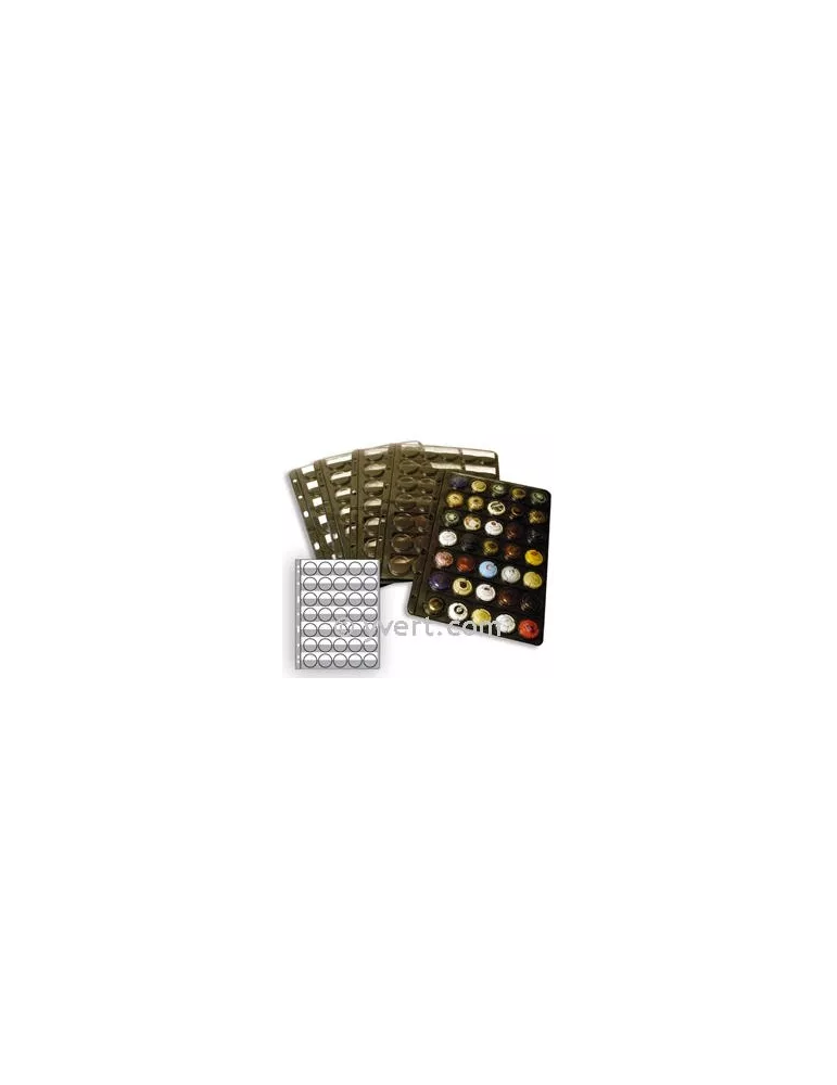 Recharge CHAMP35 : 35 capsules