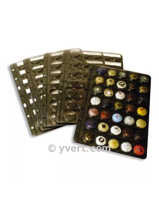 Recharge CHAMP35 : 35 capsules