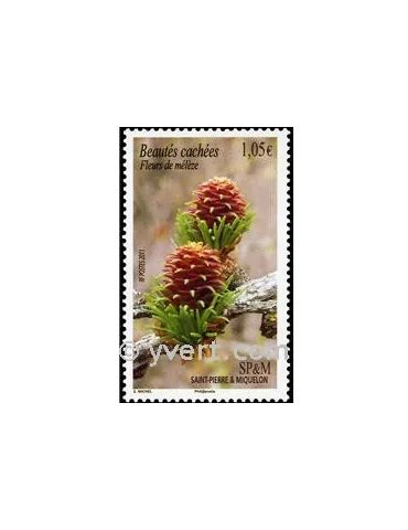 n° 994 - Timbre Saint-Pierre et Miquelon Poste