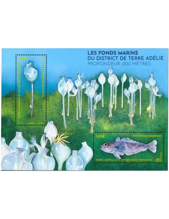 n° F1081 - Timbre TAAF Poste